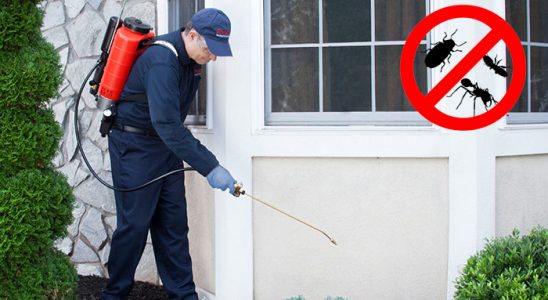 Söğüt Böcek İlaçlama böcek ilaçlama ve haşere kontrolü — ilaclama-tr.com